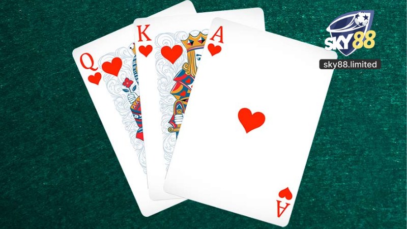 Live Casino Sky88 - Trải Nghiệm Sân Chơi Cá Cược Online