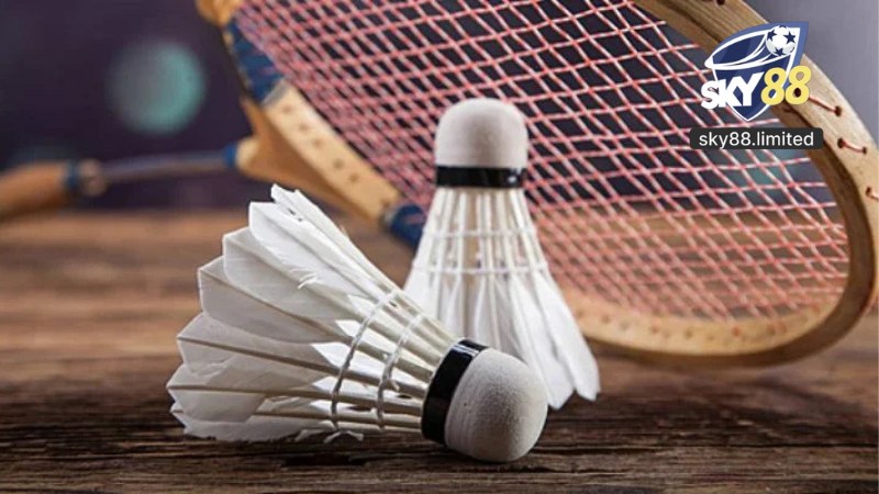 P-sports Sky88 - Cá Cược Thể Thao Ảo Bảo Mật Quốc Tế