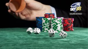 Live Casino Sky88 - Trải Nghiệm Sân Chơi Cá Cược Online